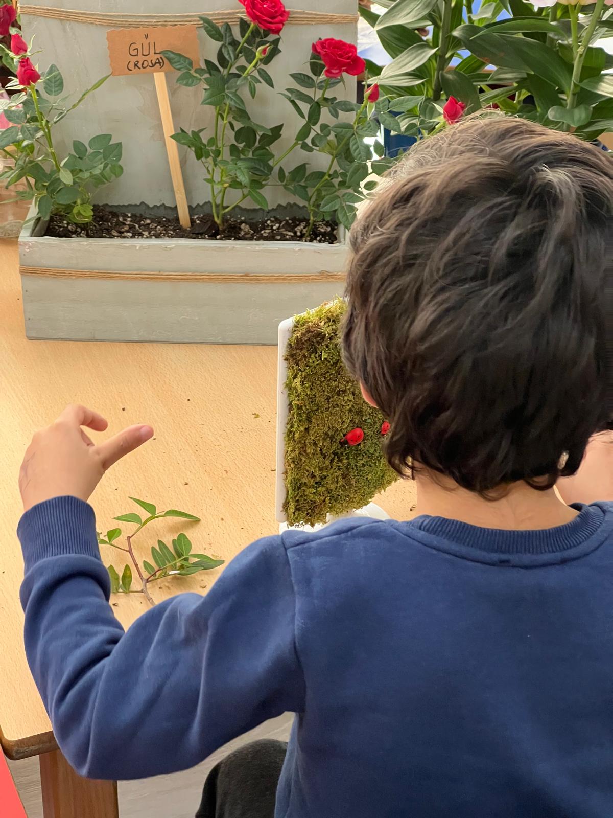 Çocuklar için ekoloji ve tasarım çalışması
